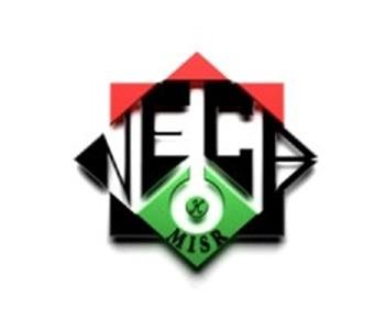 necbmisr استشارات